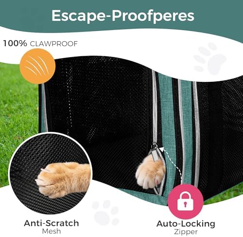 BAGLHER Pet Travel Carrier, Cat Carriers Dog Carrier for Small Medium Cats Dogs Puppies, Airline Approved Small Dog Carrier Soft Sided, Collapsible Puppy Carrier. Green