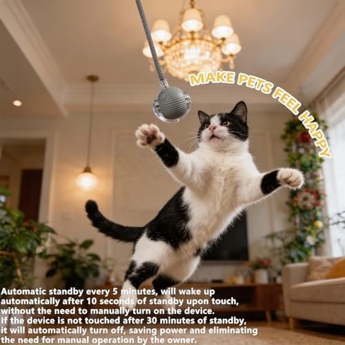 Interactive Smart Wake Pet Ball with Teaser Tail for Cats & Dogs(Gray)