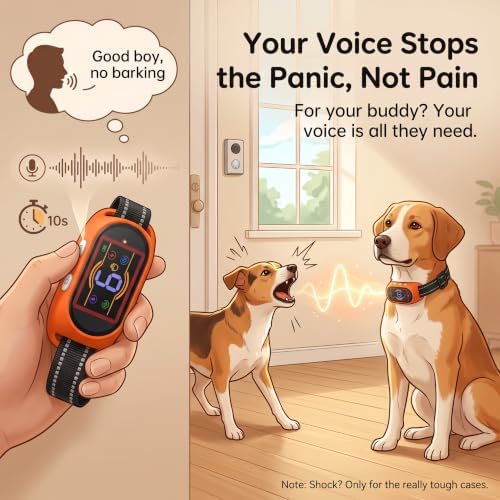 Voice Memo Anti Bark Collar, Smart Dog Bark Collar, Orange