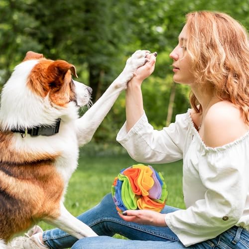 Andiker 5.9" Snuffle Ball for Dogs, Plush Colorful Interactive Snuffle Ball Hide Treat Dog Puzzle Toy for Relieving Boredom and Training Machine Washable Dog Ball for Small Dog (Blue, S)