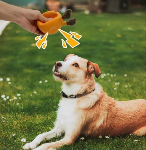 Dog Squeaky Toys Safe Latex Rubber Dog Chew Molar Toy Interactive Toy for Puppy Small Medium Dogs (Citrus)