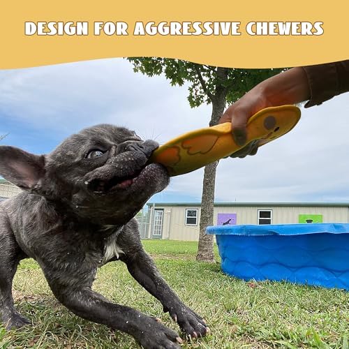 Nocciola Duck Squeaky Dog Toy, New 2025 Indestructible Dog Toy for Aggressive Chewers, Stuffed Toy with Two Tough Layers, Minky Plush for Comfort and Chewing, Yellow