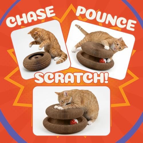 Kitty&Scratch Cat Scratcher Toy | Cardboard Cat Toy with Ball Track with Bell | Kitty Kurlz | Kitty Curls Style Accordion Toy | Expandable Reversible Cardboard Scratcher for Cats & Kittens