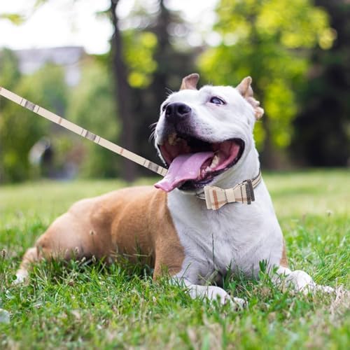 KOOLTAIL Small Dog Collar and Leash Set with Bowtie and Bells - Cute Shirt Style Puppy Bandana Collar and Leash for Male with Classic Plaid Pattern,Soft Leather Leashes for Small Dogs Boys Girls,Beige