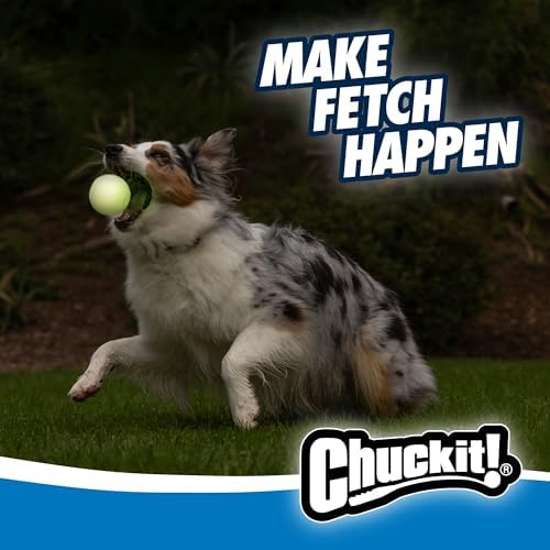 Chuckit! Max Glow Balls, Bouncy Ball for Dogs, Medium, 2.5in, 2 Pack