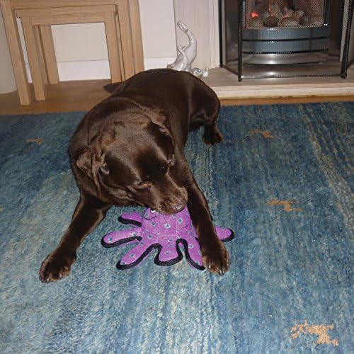 TUFFY® : Jr Pig Dog Toy: Ultra Durable Plush Toy with Multiple Layers & Reinforced Seams, Washable and Floats, Original Construction