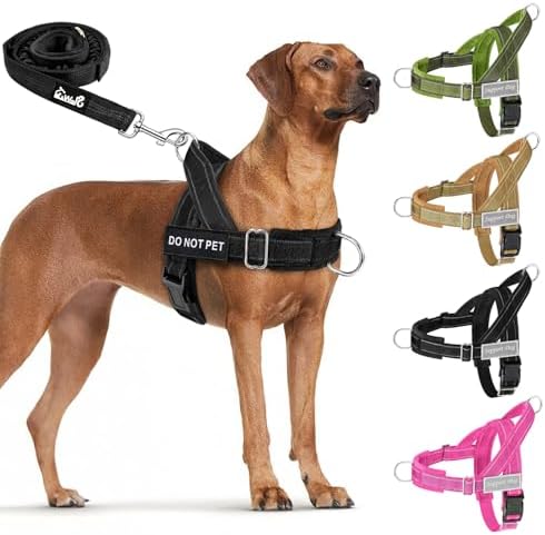 Lukovee No Pull Dog Harness and Leash Set, Soft Padded for Large Medium Dog
