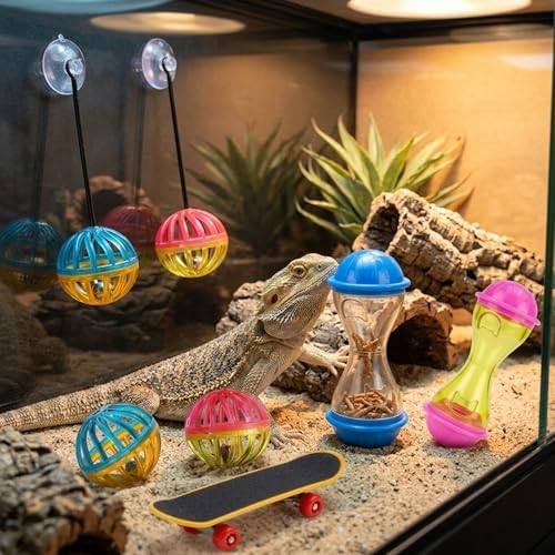 Bearded Dragon Toys, Bearded Dragon Enrichment Toys Set with Feeding Balls and Skateboards, Interactive Lizard Toy Accessories for Small Reptiles and Pets, 8-Piece Habitat Enrichment Kit
