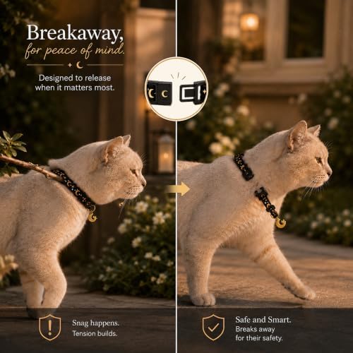 Breakaway Cat Collar with Bell for Kittens & Cats
