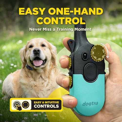 Dogtra 200iQ Remote Training E Collar – 100 Levels, Tone, Vibration, 1/2 Mile Range – Compact, Waterproof, One-Handed Control for Dogs 10 lbs+ – Lightweight Daily Training – Slip Resistant Teal