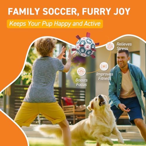 QDAN Dog Balls, 6 Inch Dog Soccer Ball with Straps, Herding Balls for Dogs
