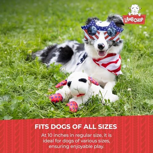 Multipet Lamb Chop Dog Plush Toy - Squeaky Toy for Small & Medium Dogs - Extra Soft Plush - Stuffed Animal for Cuddling & Playing (10", Cream, 5 Squeakers) (Pack of 2)