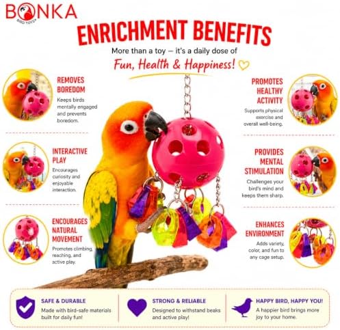 Bonka Bird Toys 1938 Paci Pull Colorful Pacifier Ring Acrylic Parrot Parrotlet Budgie Quaker African