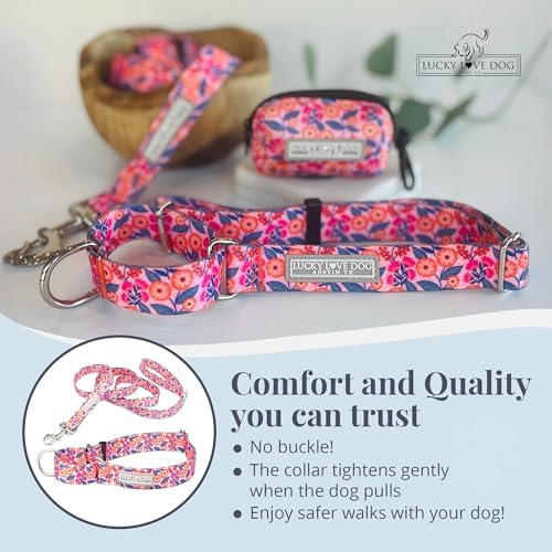 Lucky Love Dog Martingale Collar & Leash Set No Slip Cute – Rosie, Medium