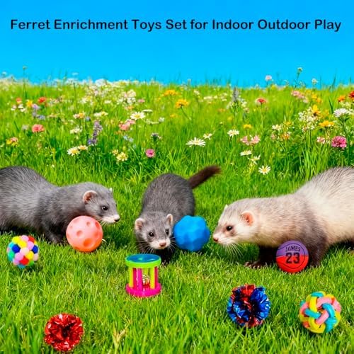 12 pcs Ferret Squeaky Toys Balls Squeaker Toys Teething Chewing Toy Colorful Bouncy Rubber Bell Balls Mylar Crinkle Interactive Sound Exercise Scratch Chew Toy for Ferrets Pet Cat Dog