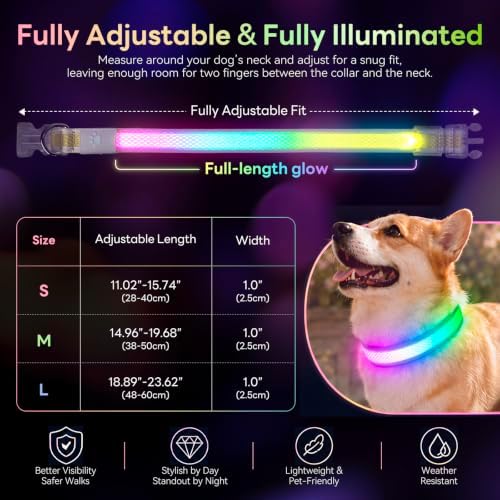 Multicolor LED Dog Collar USB-C Rechargeable, Light Up Dog Collar, Rainbow Gradient Glowing Dog Collar with 4 Light Modes, Adjustable Candy Mesh Pet Collar(Yellow, Medium)