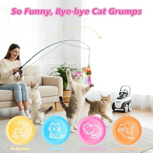 Pawaboo Cat Teaser Wand Toys, Cat Fishing Pole Toy with 3 PCS Feathers