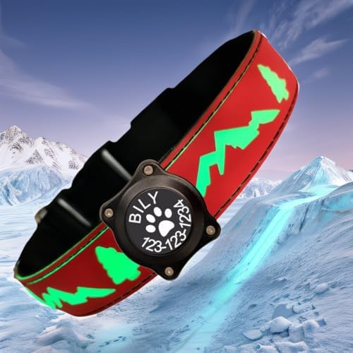 Customlized Name Flashing USB-C led Light up Dog Collar with airtag Holder, Subversive 3D Design Comfortable and Soft Material,Multicolored Lighting (RED, L(15.7-19.7"))