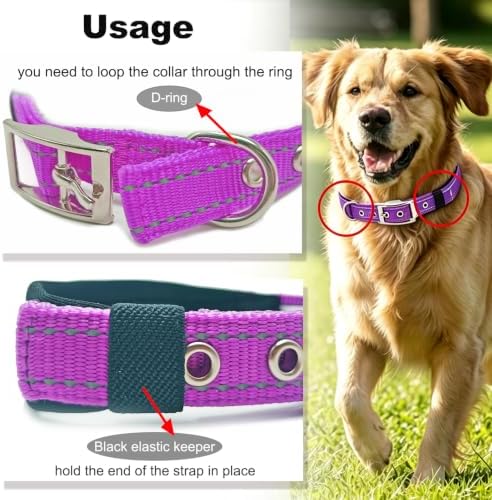 Reflective Dog Collar for XLarge Dogs Wide Padding 6 Holes Adjusta