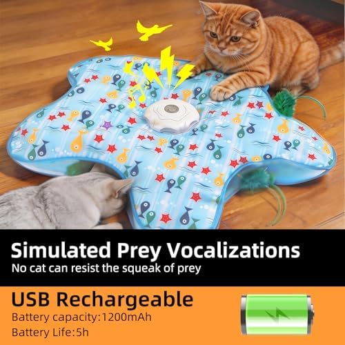 Interactive Cat Toy, Peek-a-Boo Series – Hidden Feather Wand, Rechargeable Indoor Hunting Toy, Squeaky Bird Sound, and Small Fish Pattern Cover