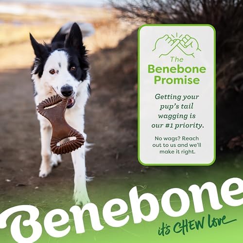 Benebone Dental Dog Chew Toy for Aggressive Chewers, Real Peanut, Small