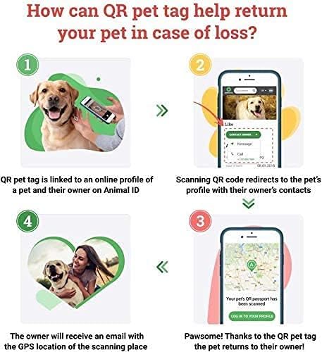 Personalized Pet ID Tag for Dog Cat with QR Passport Global Search System of Lost Pets - Personalized Dog Tags Cat Name Tags - Avocado