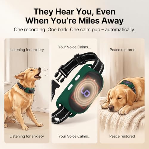 Voice Memo Anti Bark Collar, Smart Dog Bark Collar, Grey | Custom Voice Recording, 4 Humane Training Modes, 6 Adjustable Sensitivity Levels, Rechargeable, for Small Medium Large Dogs