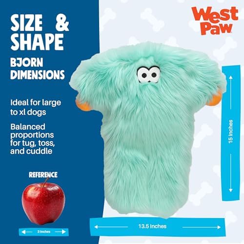 WEST PAW Rowdies Bjorn Durable Plush Dog Toy with Reinforced Seams Chew Resistant Design and Interactive Squeaker for Playtime Indoors or Outdoors Bundle for Dogs Who Deserve the Best - Seafoam