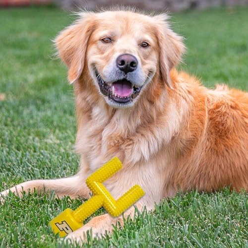 NCAA Purdue Boilermakers Mega-Chew Hard Nylon Bacon-flavored Dog Bone Football Goal-Post Chew Toy. Interactive, Tasty & Fun Dog Chew Toy. Indestructible, Strong, Tough & Durable Pet Chew Toys