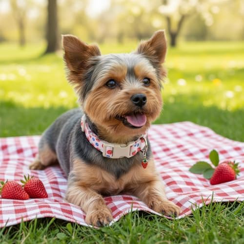 Small Dog Collar, Cute Dog Collar for Puppy, Extra Small & Small Dogs, Strawberry Blueberry Collar for Girl Female Dogs, XS