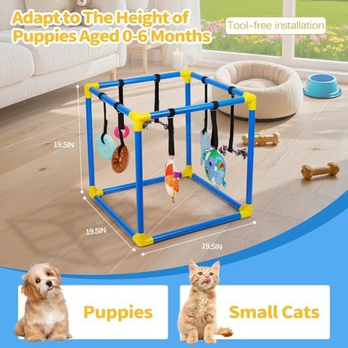 Liitrton Puppy Play Gym for Small Dogs with 8 Hanging Toys, Blue