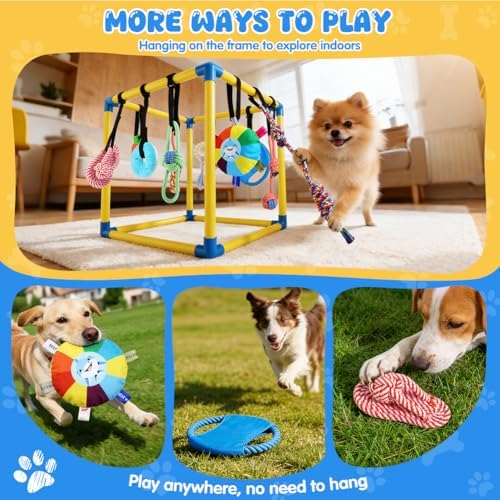 Puppy-Play-Gym for Small Dogs with 10 Dog Toys,19.5" Indoor-Jungle-Play-Gym