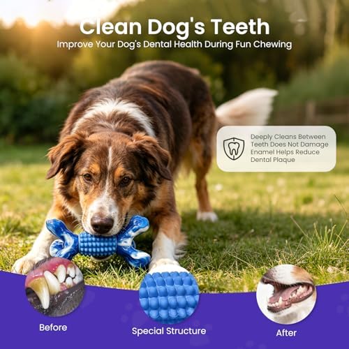BoYoYo Indestructible Dog Chew Toys for Aggressive Chewers, Tough Dog Toys for Large& Medium Dogs, Dogs Chew Bones Long Lasting to Keep Them Busy, Durable Beef Flavored Toy, Blue