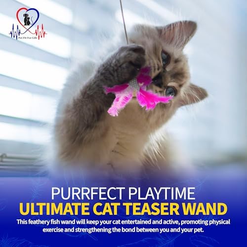 PET FIT for Life 2 Fish Feather Wand CAT Toy
