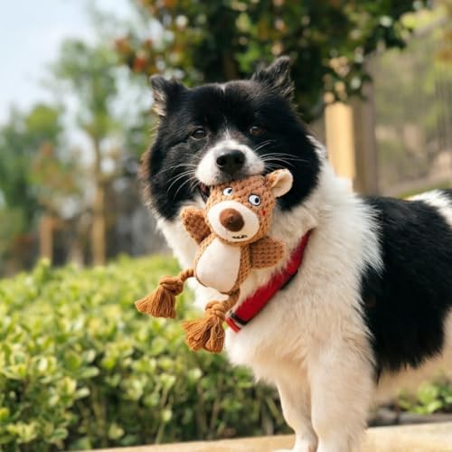 Plush Squeaky Knot Dog Toys, Interactive Chew Toys (Brown Bear)