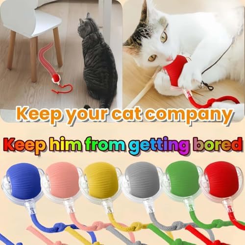 Interactive Rotating Cat Ball Toy, 360 Smart Rolling Ball Electric, Automatic Moving for Cats & Kittens (Red)