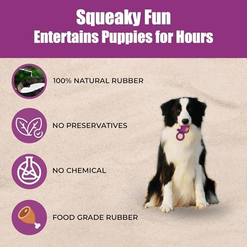 SPOT Puppy Pacifier Latex Dog Toy – Soft Binky-Shaped Chew for Teething Puppies & Small Dogs, 4.5 Inch, for Light Chewers Only, Squeaky Natural Latex, Assorted Colors