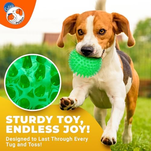 Cutie's PetBox Squeaky Rubber Spike Toy Ball for Small Dogs, 3-Colors Blue Green Yellow (2.5 Inch, Multi-Pack)