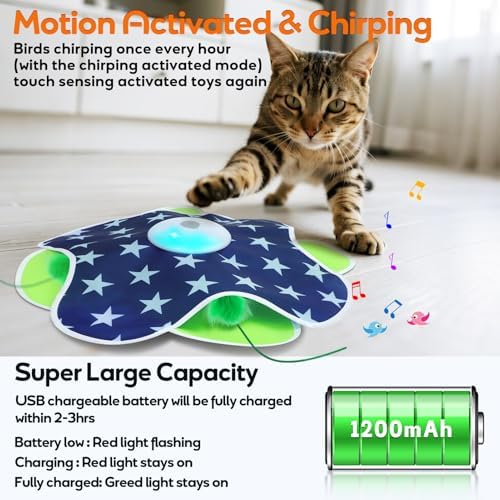 Oxawo Interactive Cat Toys for Indoor Cats Kittens Mat Toy