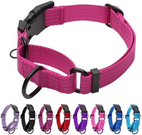 Martingale Dog Collar, Reflective No Pull with Buckle, Hot Pink, M