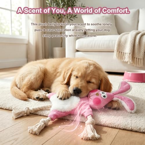 No Stuffing Crinkle Squeaky Dog Toy for Small Medium Puppies,（Rabbit）