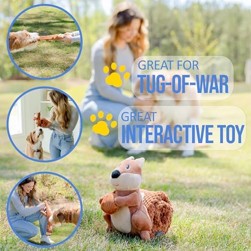 Crinkle Dog Toy Plush Toy - Long Tug-of-War Squeaky Dog Toy Boredom Buster Toys with Snack Pockets - Durable Enrichment Mentally Stimulating Toys for Dogs Small, Medium, Large - Squirrel