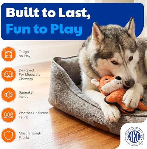 American Kennel Club Plush Dog Toy with Squeaker for Moderate Chewers, Soft Stuffed Dog Toy for Tugging, Fetch & Interactive Play, Gentle on Teeth