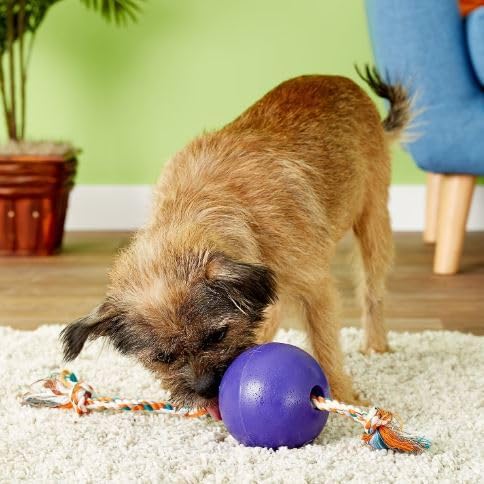 Jolly Pets Romp-N-Roll Rope & Ball Dog Toy, 4.5 in Small, Purple