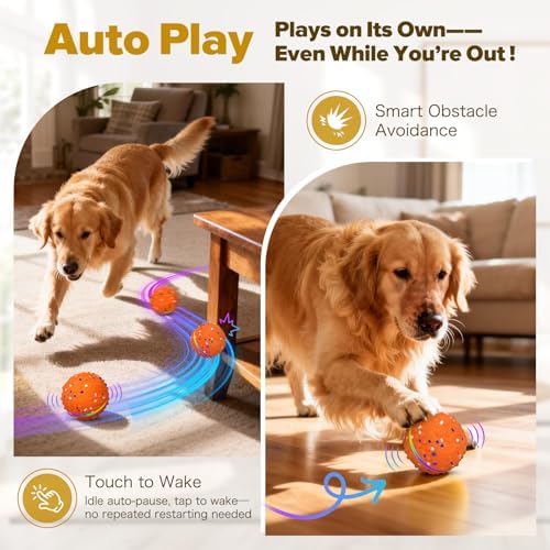 Interactive Dog Toys Ball, Self-Rolling & Bouncing Ball with RGB Colorful Lights to Keep Them Busy, 3-in-1 Interactive Mode, E-TPU Material, Type-C Charging, Moving Dog Toy for Dogs Puppies (Orange)