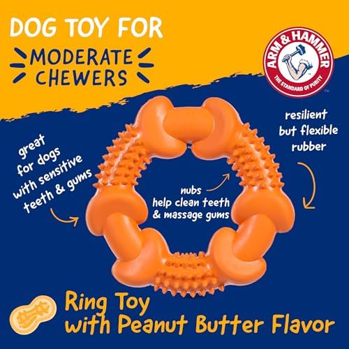 Arm & Hammer Nubbies Rubber Ring Dog Dental Chew Toy, Peanut Butter
