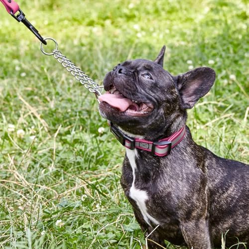 Dogline Reflective Martingale Collar for Dogs with Quick Release Buckle – Biothane Dog Collar with Herm Sprenger Assembly Chain – Waterproof No Pull Dog Collar, L 11”-15”, Passionfruit Pink