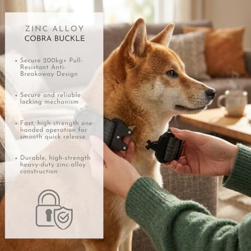 Dog Collar with AirTag Compatible Holder + Leash, Cobra Buckle, Padded, (L)