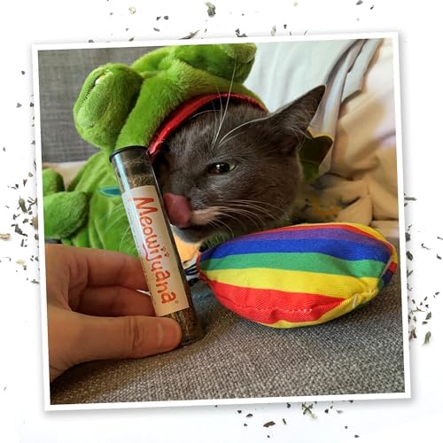 Meowijuana Get a Rise Balloon Cat Toy & Catnip | Refillable Plush + Blend