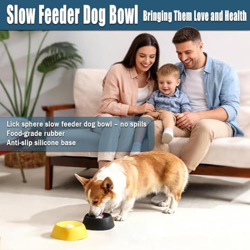 SOOPLEU Lick and Roll Bowl for Dogs – No-Mess Slow Feeder for Bone Broth, Yogurt & Supplements | Lick and Roll Bowl with Anti-Spill Rolling Ball | for Senior Dogs, New Puppies & Post-Op Nutrition